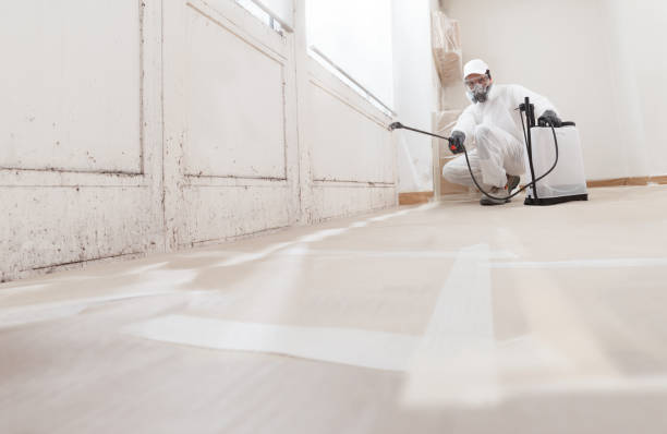 24/7 Emergency Mold Removal experts in Fredericksburg, PA