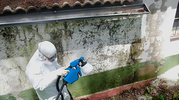 Top rated local Mold Removal specialists in Fredericksburg, PA
